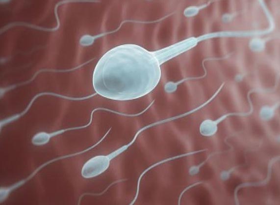 Semen Analysis